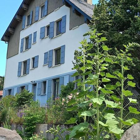 Chalet Du Doumet - Appart Luz Centre - Parking Et Garage Individuel Ferme - Draps Et Serviettes Inclus Luz-Saint-Sauveur Luaran gambar